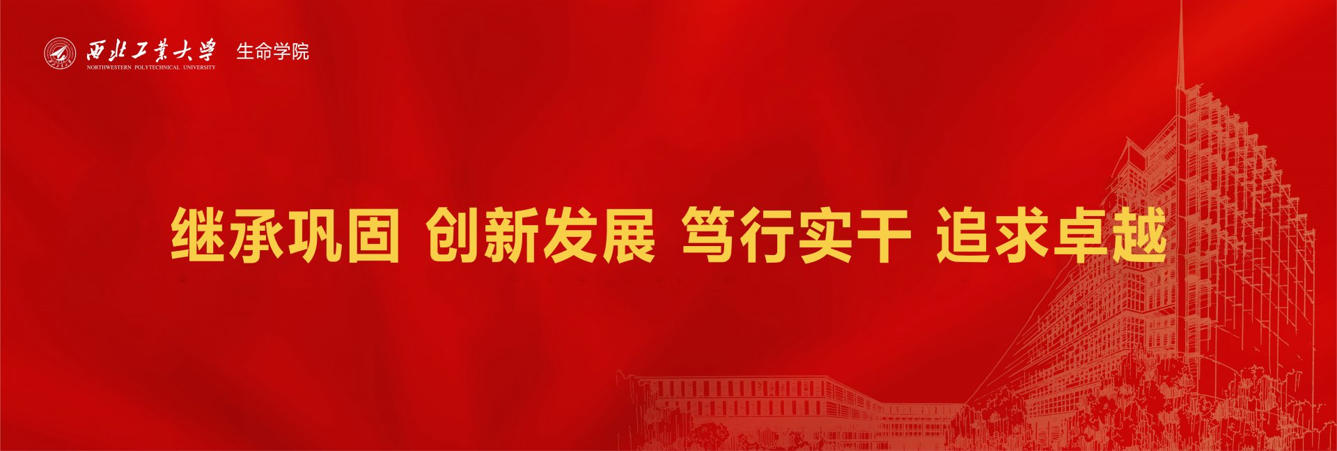 中兴电竞最新版本